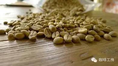 充满花香的西达摩—90+Ninetyplus花语