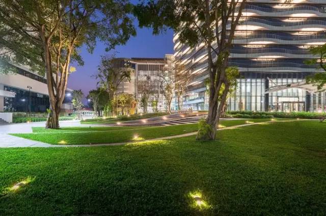 大型的景观草坪,好看的天然草坪