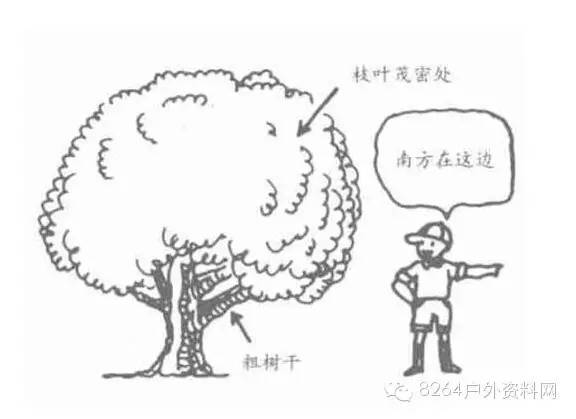 户外迷路怎么办？快收藏，记住这些救命技能！