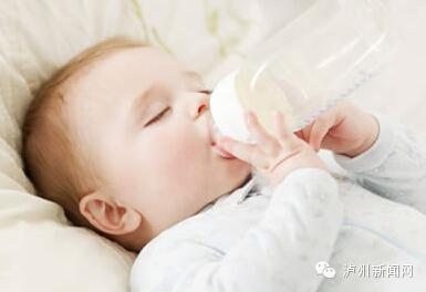 小松鼠吃什么最有营养,小松鼠吃什么怎么养