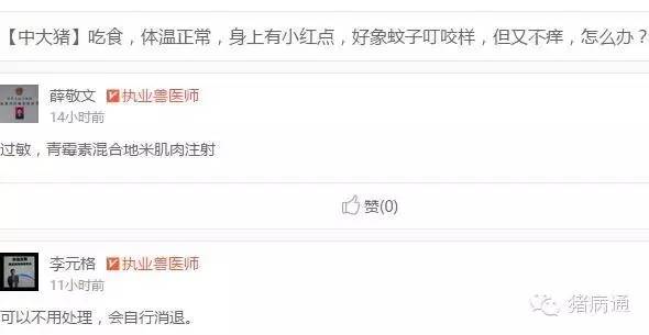 母猪奶水少小猪大小不一怎么办,母猪长痘怎么处理