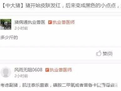 母猪奶水少小猪大小不一怎么办,母猪长痘怎么处理