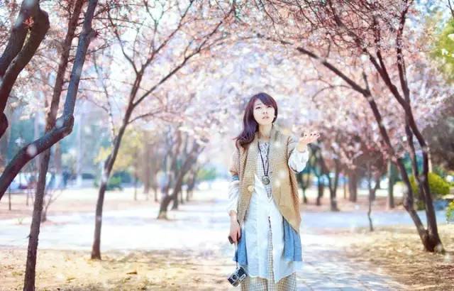 樱花盛开季节旅游攻略,樱花拍摄最全攻略