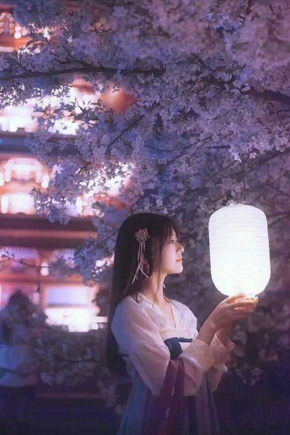 樱花盛开季节旅游攻略,樱花拍摄最全攻略