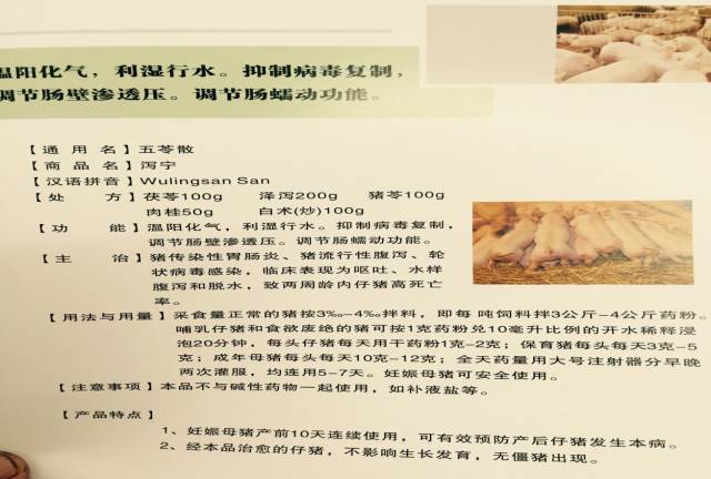 分娩舍的饲喂标准,分娩舍饲养管理