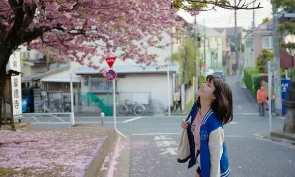 樱花盛开季节旅游攻略,樱花拍摄最全攻略