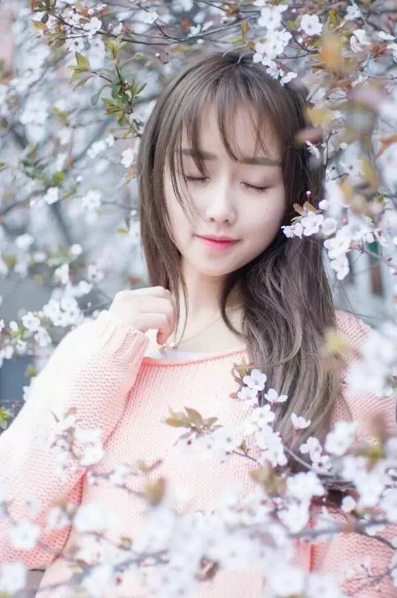 樱花盛开季节旅游攻略,樱花拍摄最全攻略