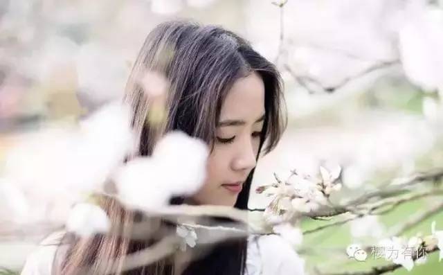 樱花盛开季节旅游攻略,樱花拍摄最全攻略