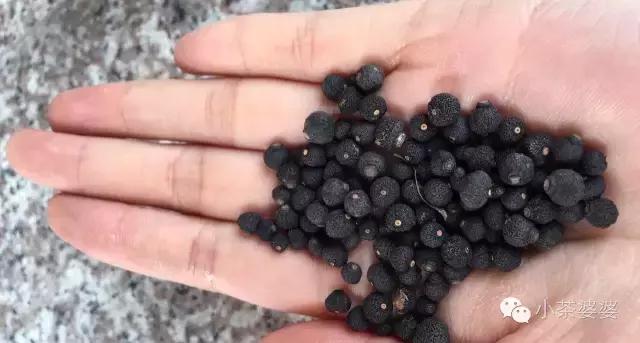 哪一种橘子皮是中药陈皮,一个橘子皮怎么会叫陈皮