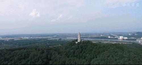 哪一种橘子皮是中药陈皮,一个橘子皮怎么会叫陈皮