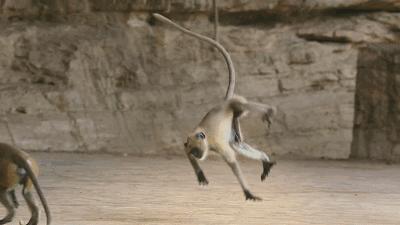 这34个间谍，每天只干一件事：*窥偷**！还拍成电影全球上映？