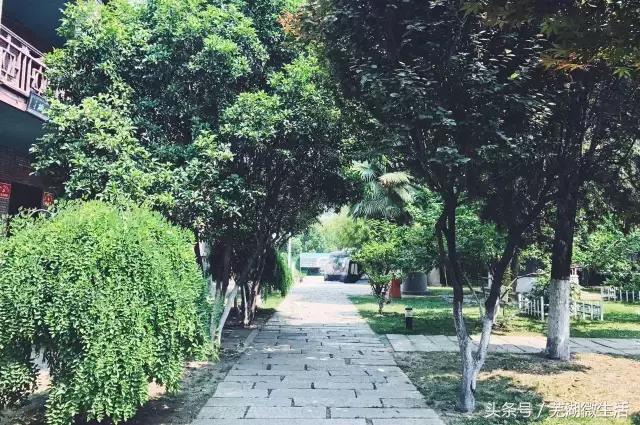 蚌埠最大中学,蚌埠目前最好的中学