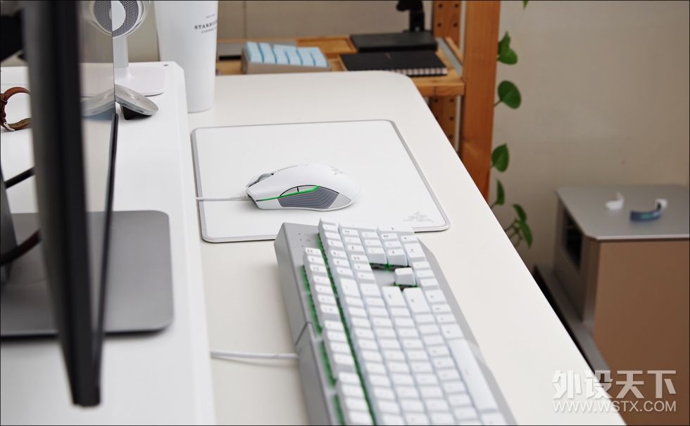 刷新颜值,雷蛇颜值