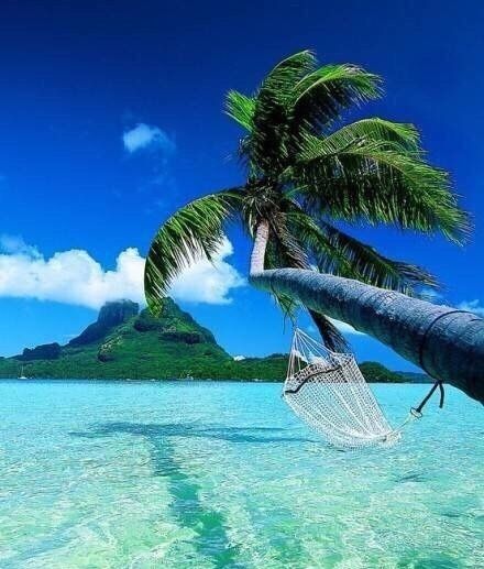 最接近天堂的地方塔希提岛,塔希提岛姊妹岛