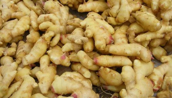 居家过日子不要太实在,居家过日子不能干什么