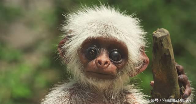 这34个间谍，每天只干一件事：*窥偷**！还拍成电影全球上映？