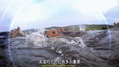 这34个间谍，每天只干一件事：*窥偷**！还拍成电影全球上映？