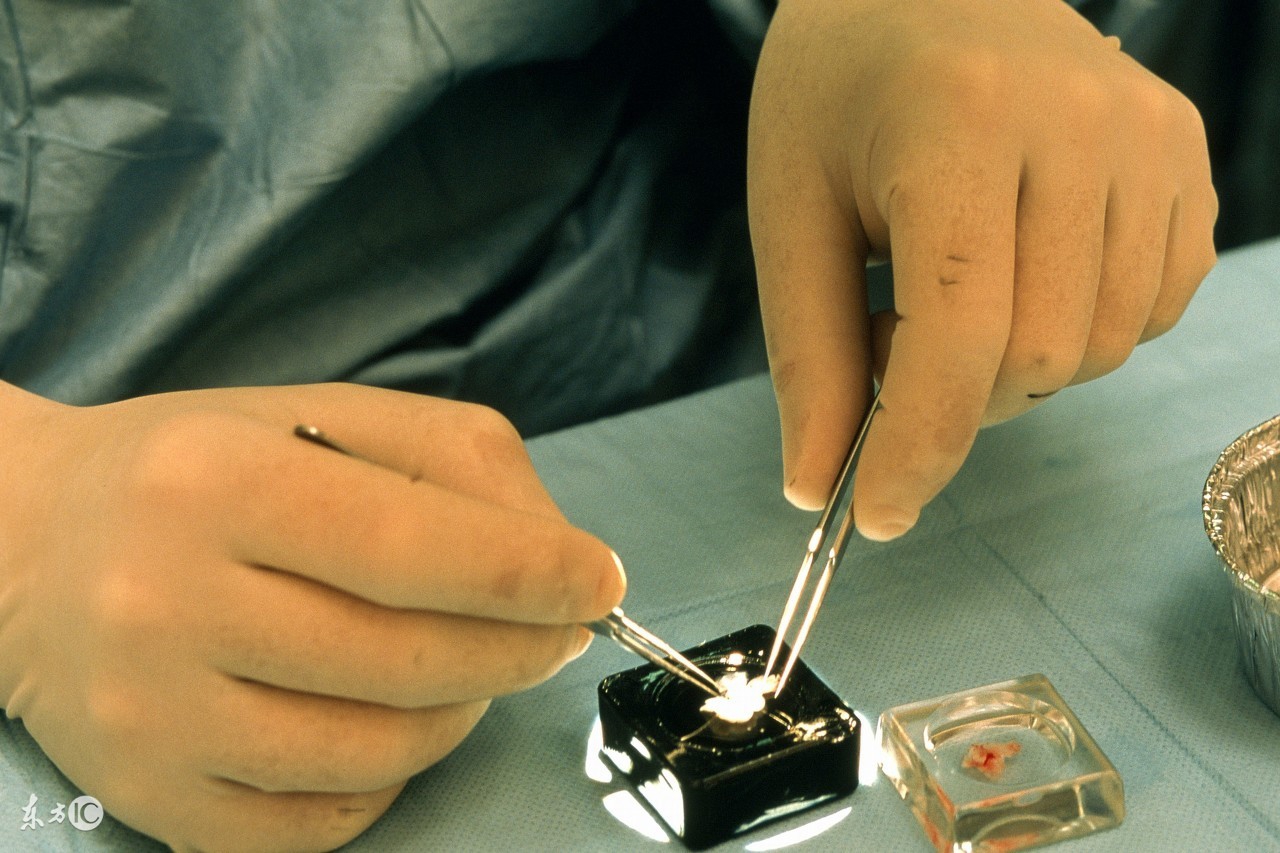 分享好孕过程和小经验心得,好孕分享完整版