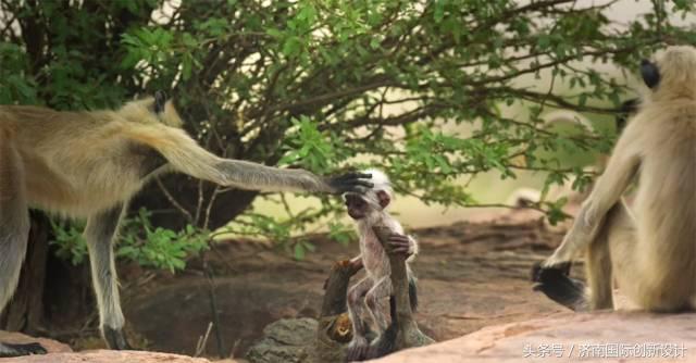 这34个间谍，每天只干一件事：*窥偷**！还拍成电影全球上映？