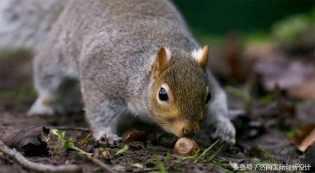 这34个间谍，每天只干一件事：*窥偷**！还拍成电影全球上映？