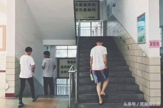 蚌埠最大中学,蚌埠目前最好的中学