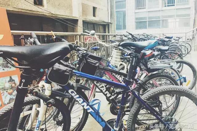 蚌埠最大中学,蚌埠目前最好的中学