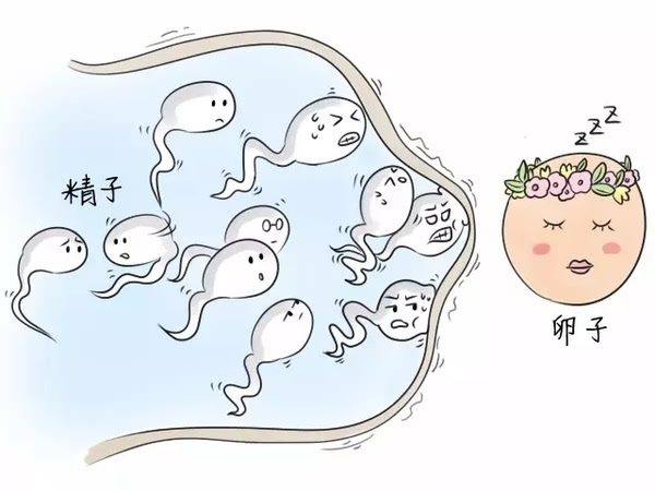 努力的想造人，能否成功还要看“它”！（上）