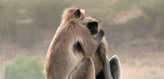 这34个间谍，每天只干一件事：*窥偷**！还拍成电影全球上映？