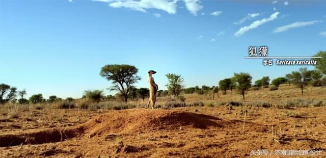 这34个间谍，每天只干一件事：*窥偷**！还拍成电影全球上映？