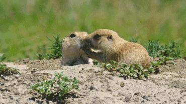 这34个间谍，每天只干一件事：*窥偷**！还拍成电影全球上映？