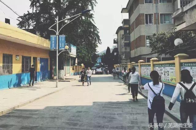 蚌埠最大中学,蚌埠目前最好的中学