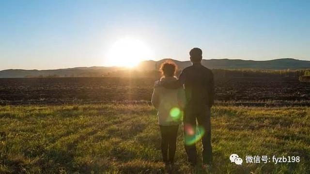 关于爱情婚姻及家庭的探讨,关于爱情与婚姻的思考