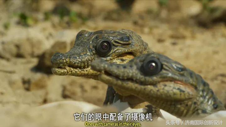 这34个间谍，每天只干一件事：*窥偷**！还拍成电影全球上映？