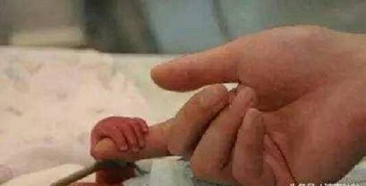 怀孕七八个月早产存活率,孕妈七个月早产视频