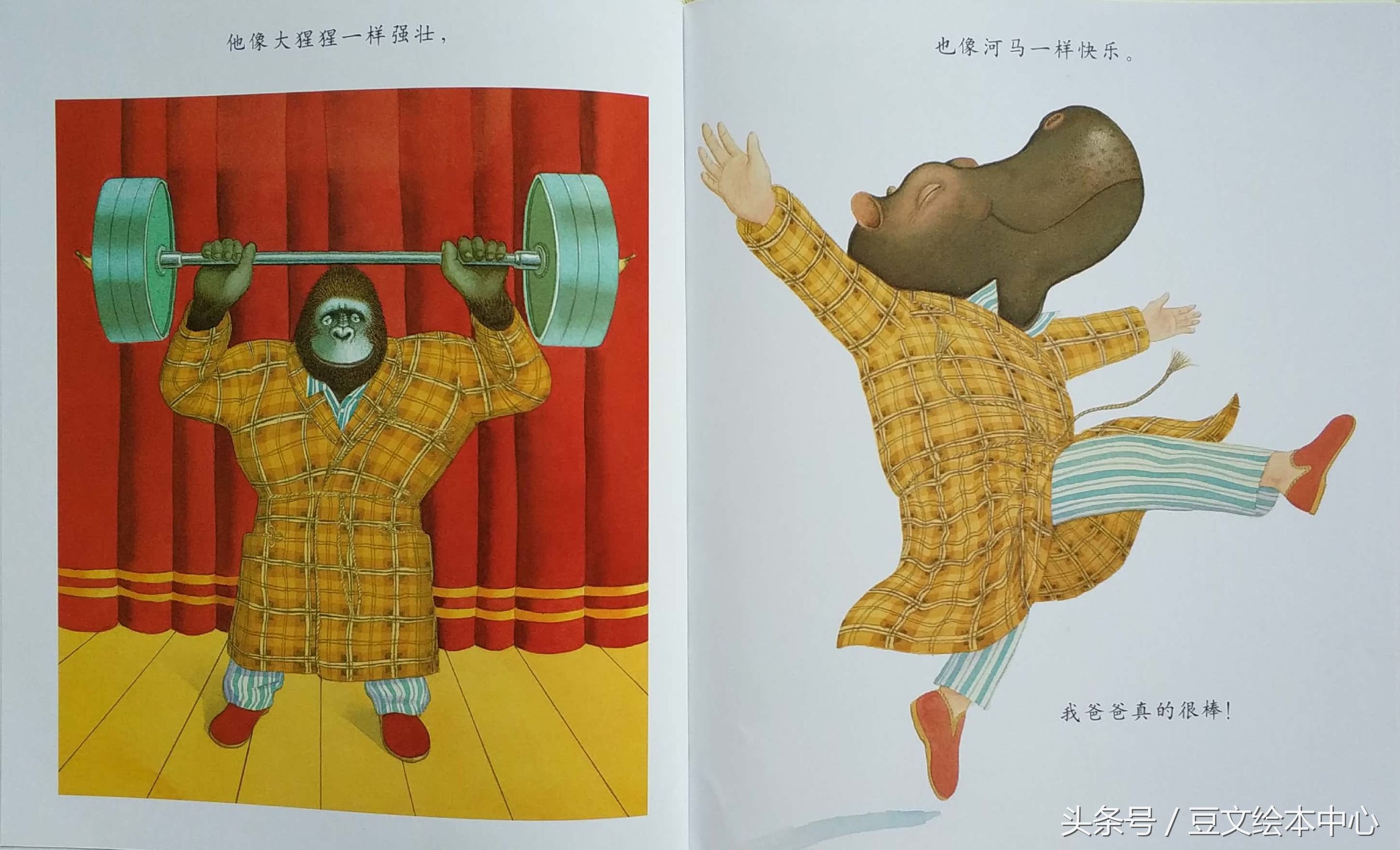 绘本我爸爸推荐,绘本我爸爸双语