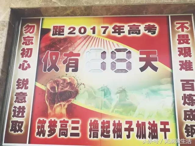 蚌埠最大中学,蚌埠目前最好的中学