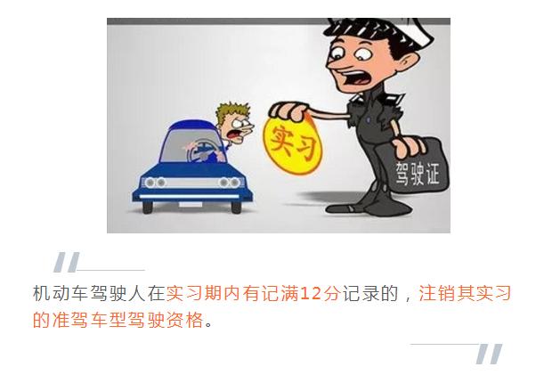 驾照最后一分怎么办,驾照疑难解答