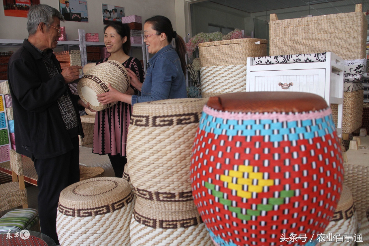 农村自己致富项目,农村种地致富项目