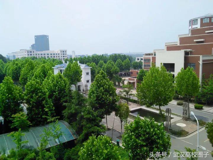 武汉大学和华中师大哪个女生漂亮,湖北女生最多的10所高校