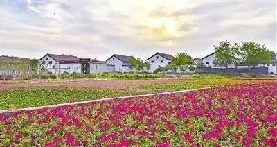 秦皇岛最值得游玩的地方,秦皇岛有哪些旅游地方