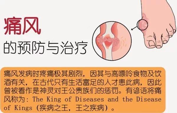 薏米桑枝核桃治痛风,痛风可以喝薏米茶吗