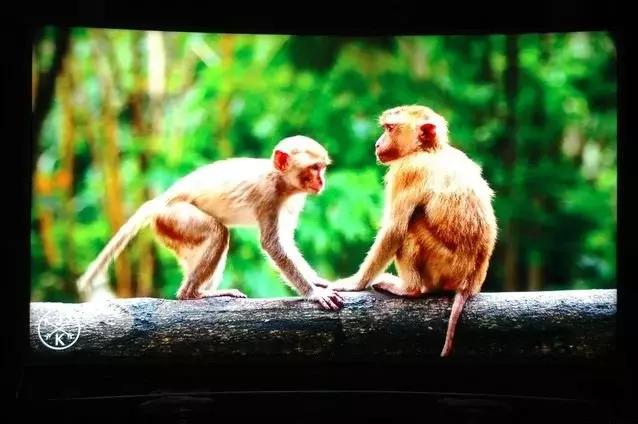 海信最新曲面电视,海信曲面屏电视怎么样