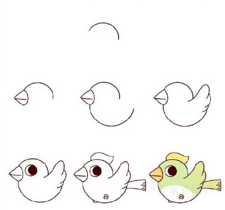 十种鸟类简笔画你看过吗？孔雀鸵鸟猫头鹰都在这里，快收藏教孩子