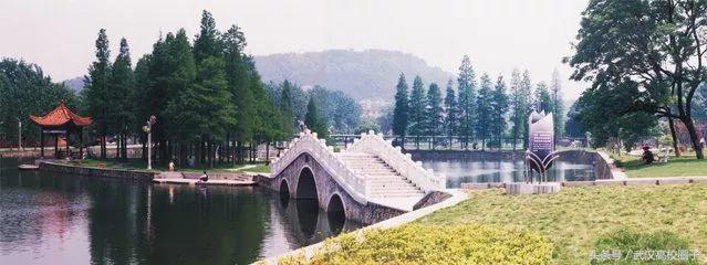 武汉大学和华中师大哪个女生漂亮,湖北女生最多的10所高校