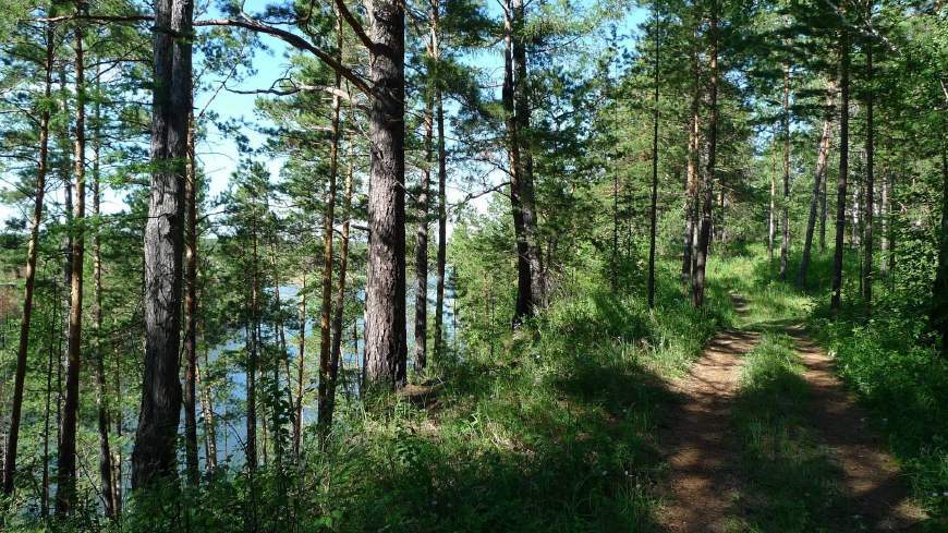 安陶氧仙子清洁颗粒图片,安陶氧仙子清洗洗衣机
