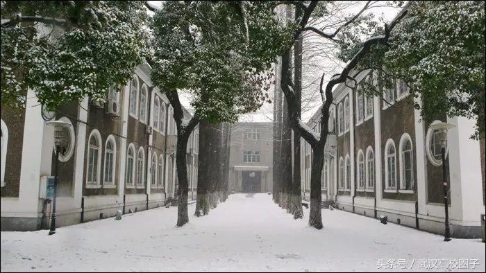 武汉大学和华中师大哪个女生漂亮,湖北女生最多的10所高校