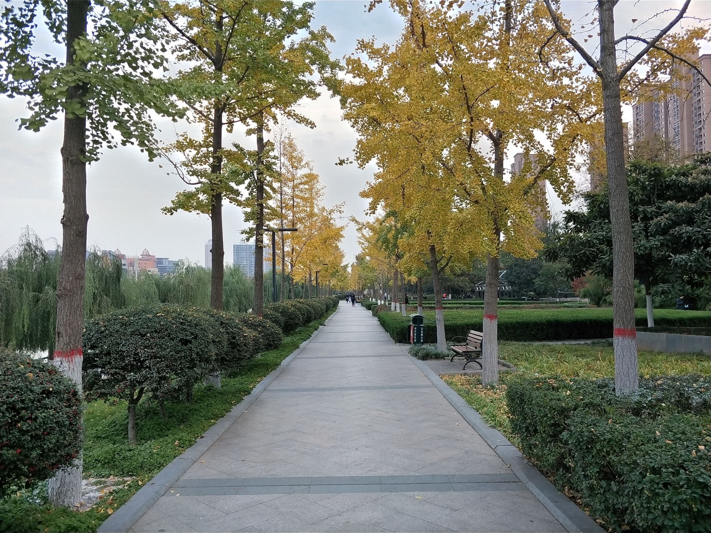 vivox20plus测评,vivox20plus手机测评