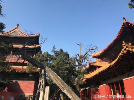 我印象最深的一次出游曲阜,难忘的旅行去曲阜