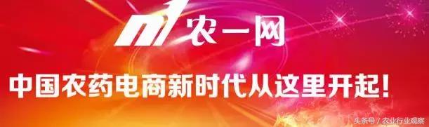 农一网工作站转型,农资转型电商怎么做起来