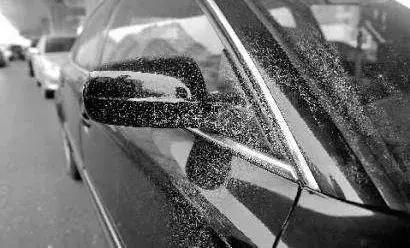 柏油清洗剂可以去除树胶鸟屎印吗,不伤车漆的去胶方法